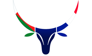 logo zebutech